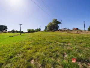 Prodej pozemku pro bydlení, Radnice - Svatá Barbora, 7544 m2