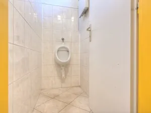 Prodej obchodního prostoru, Studenec, 265 m2