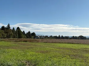 Prodej pozemku pro bydlení, Chocnějovice, 5680 m2