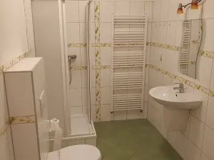 Pronájem bytu 1+kk, Brno, Wintrova, 50 m2