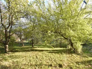 Prodej chalupy, Smidary - Chotělice, 90 m2