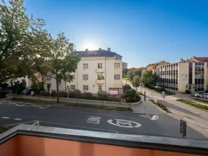 Prodej bytu 1+1, Brno, 53 m2