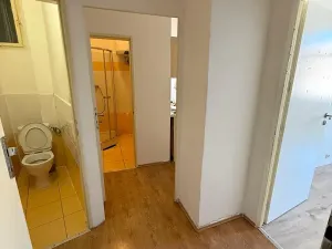 Pronájem bytu 2+kk, Praha - Nusle, Slavojova, 37 m2