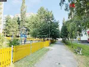 Pronájem bytu 1+1, Benešov, Nová Pražská, 46 m2
