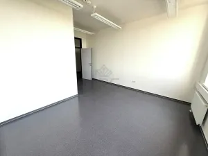 Pronájem kanceláře, Brno, Pražákova, 18 m2