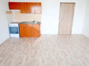 Pronájem bytu 1+kk, Plzeň, Toužimská, 31 m2