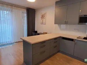 Pronájem bytu 2+1, Praha - Žižkov, Olšanská, 79 m2
