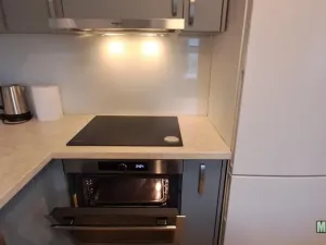 Pronájem bytu 2+1, Praha - Žižkov, Olšanská, 79 m2