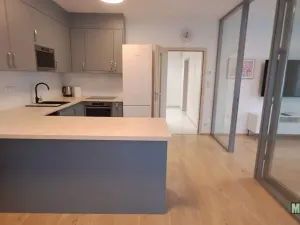 Pronájem bytu 2+1, Praha - Žižkov, Olšanská, 79 m2