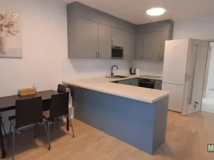 Pronájem bytu 2+1, Praha - Žižkov, Olšanská, 79 m2