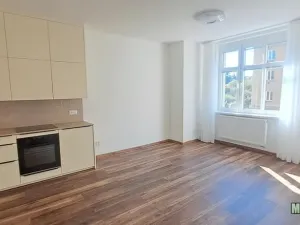 Pronájem bytu 3+kk, Praha - Žižkov, Jeseniova, 64 m2