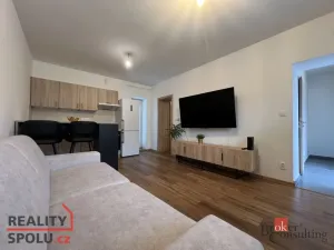 Pronájem bytu 1+kk, Ostrava - Martinov, Kamenná, 33 m2