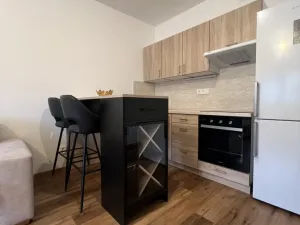 Pronájem bytu 1+kk, Ostrava - Martinov, Kamenná, 33 m2
