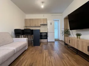 Pronájem bytu 1+kk, Ostrava - Martinov, Kamenná, 33 m2