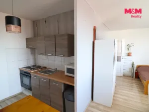 Pronájem bytu 1+kk, Most, Česká, 33 m2