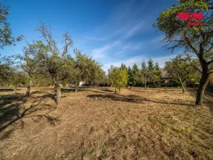 Prodej zemědělské usedlosti, Pavlíkov, 125 m2