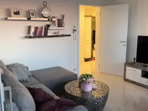 Prodej bytu 2+kk, Praha - Žižkov, Olšanská, 60 m2