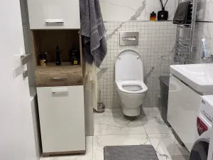 Prodej bytu 2+kk, Praha - Žižkov, Olšanská, 60 m2