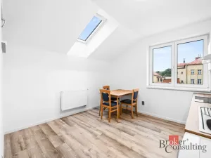 Prodej bytu 2+kk, Břasy, 47 m2