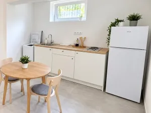 Pronájem bytu 1+kk, Plzeň - Doubravka, Třešňová, 16 m2
