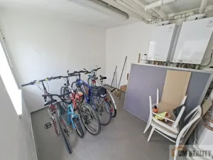 Pronájem bytu 1+1, Prostějov - Krasice, Na Brachlavě, 30 m2