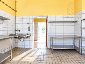 Prodej rodinného domu, Světec, Kostomlatská, 450 m2