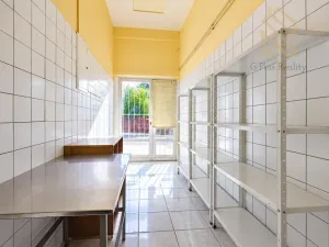 Prodej rodinného domu, Světec, Kostomlatská, 450 m2
