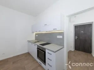 Pronájem bytu 1+1, Přerov - Přerov I-Město, Husova, 26 m2
