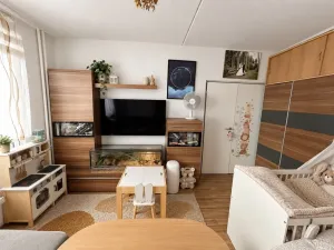 Prodej bytu 1+1, Plzeň, Ledecká, 30 m2