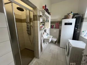 Prodej rodinného domu, Čistá - Kůzová, 443 m2
