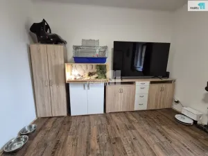 Pronájem bytu 2+1, Chotěšov, Plzeňská, 45 m2