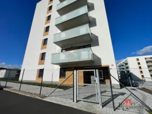 Pronájem bytu 3+kk, Teplice, Novoveská, 62 m2