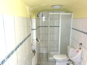 Prodej obchodního prostoru, Žatec, Masarykova, 289 m2