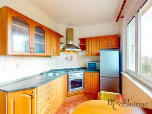 Prodej bytu 2+1, Chomutov, Marie Pujmanové, 53 m2