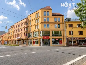 Prodej bytu 2+kk, České Budějovice, Rudolfovská tř., 96 m2