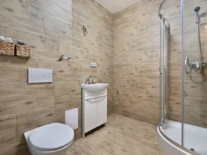 Pronájem bytu 2+kk, Janovice nad Úhlavou, 49 m2