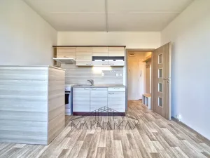 Prodej bytu 1+kk, Chodov, Palackého, 18 m2