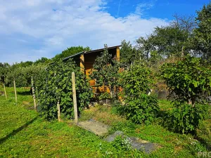 Prodej vinného sklepa, Mutěnice, 107 m2