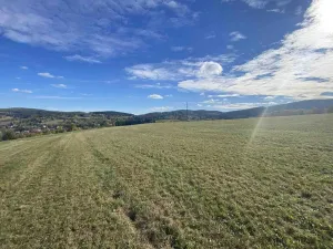 Prodej pole, Zdíkov, 2180 m2