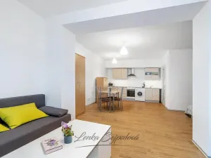 Prodej bytu 1+kk, Pardubice - Zelené Předměstí, Hronovická, 45 m2
