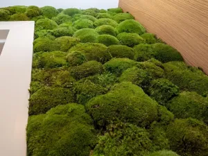 Pronájem bytu 3+kk, Praha - Bubeneč, Na výšinách, 113 m2