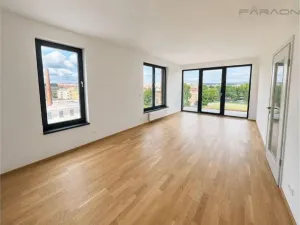Pronájem bytu 2+kk, Praha - Karlín, Švarcova, 55 m2