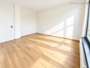 Pronájem bytu 2+kk, Praha - Karlín, Švarcova, 55 m2