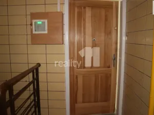 Pronájem bytu 1+1, Ostrava - Mariánské Hory, Přemyslovců, 55 m2