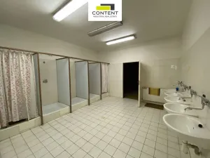 Pronájem výrobních prostor, Sokolov, Chebská, 3372 m2
