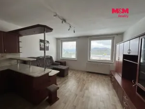 Pronájem bytu 2+kk, Ústí nad Labem - Krásné Březno, Čechova, 48 m2