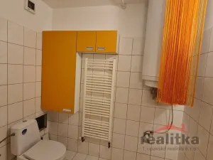 Pronájem bytu 2+1, Opava - Město, U Fortny, 50 m2
