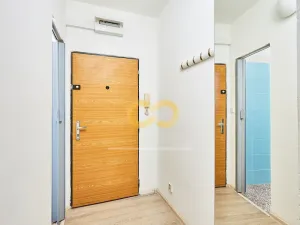 Prodej bytu 2+kk, Písek, Budovatelská, 40 m2