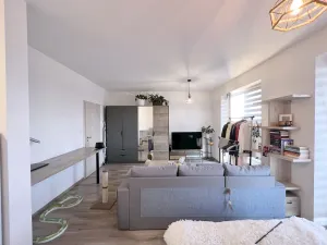 Pronájem bytu 1+kk, Plzeň, Pecháčkova, 42 m2