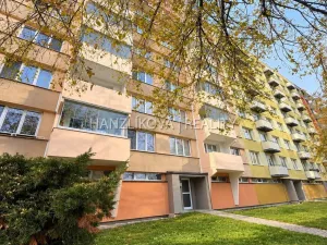 Pronájem bytu 2+1, České Budějovice - České Budějovice 2, J. Opletala, 72 m2